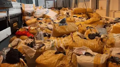 задержание контрабанды в порту Мангистауской области, фото - Новости Zakon.kz от 29.03.2022 11:30