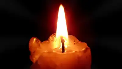 clutch.ua, фото - Новости Zakon.kz от 02.08.2020 17:37