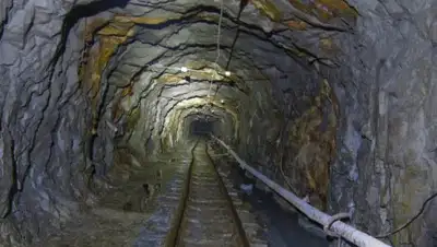 pg11.ru, фото - Новости Zakon.kz от 24.03.2019 20:36