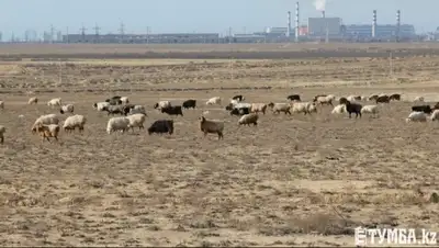 Zakon.kz, фото - Новости Zakon.kz от 02.03.2015 01:58