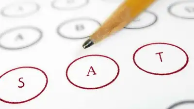 Education index, фото - Новости Zakon.kz от 20.12.2018 16:50