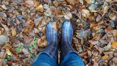 pikist, фото - Новости Zakon.kz от 16.09.2020 10:31