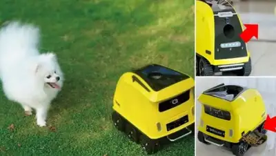 Zakon.kz, фото - Новости Zakon.kz от 08.09.2017 01:00