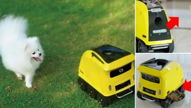 Учеными создан робот, который составит компанию домашним питомцам и защитит жилище