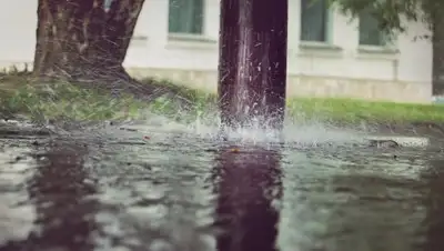 Zakon.kz, фото - Новости Zakon.kz от 14.08.2017 12:01