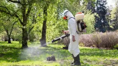 almatycentralpark.kz, фото - Новости Zakon.kz от 30.04.2021 16:45