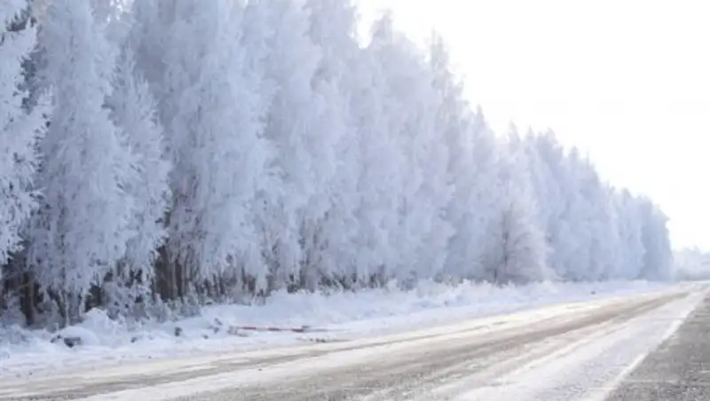 В двух областях Казахстана ограничили движение