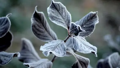 pixabay.com, фото - Новости Zakon.kz от 14.05.2019 18:44