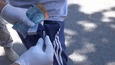 кадр из видео, фото - Новости Zakon.kz от 06.08.2018 16:04