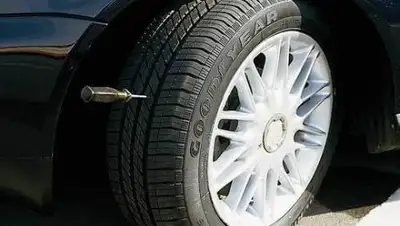 Фото с сайта carnovato.ru, фото - Новости Zakon.kz от 24.01.2018 12:31