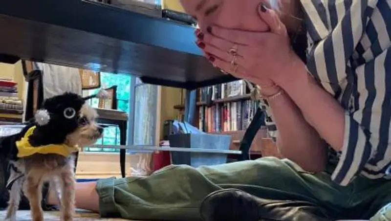 На бывшую жену Джонни Деппа Эмбер Херд завели уголовное дело