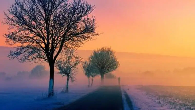 Туман накроет пять регионов Казахстана