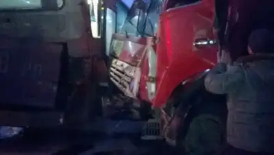 Zakon.kz, фото - Новости Zakon.kz от 26.01.2016 16:27