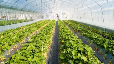 Zakon.kz, фото - Новости Zakon.kz от 01.02.2016 15:01