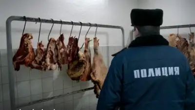 Zakon.kz, фото - Новости Zakon.kz от 11.12.2014 23:16