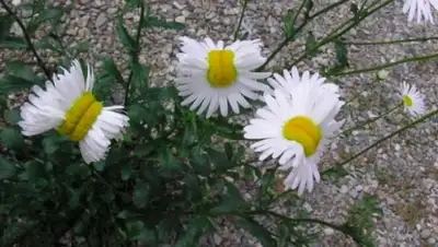 Zakon.kz, фото - Новости Zakon.kz от 25.07.2015 15:40