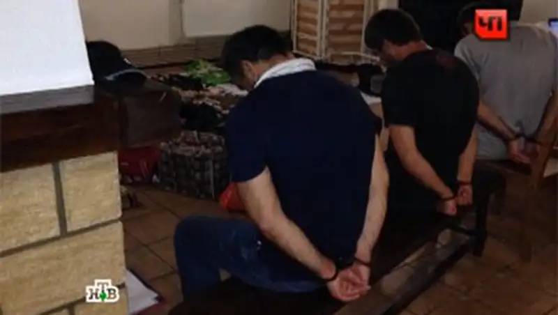 В Подмосковье задержали банду, на счету которой 25 убийств