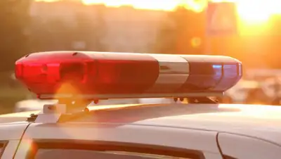 Колеса, фото - Новости Zakon.kz от 19.11.2019 13:16