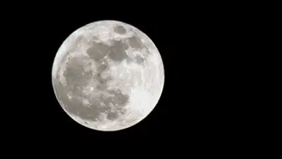 Zakon.kz, фото - Новости Zakon.kz от 31.01.2017 17:34