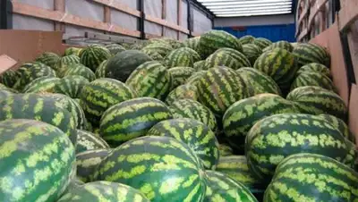 Zakon.kz, фото - Новости Zakon.kz от 03.07.2016 02:00