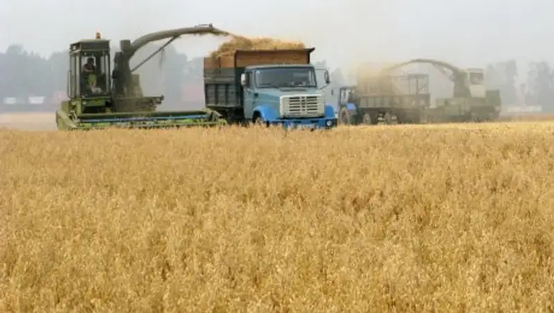 В Казахстане собрано 21,9 млн тонн зерна