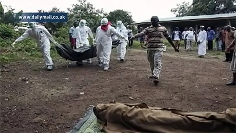 ВОЗ: число погибших от лихорадки Эбола превысило тысячу человек