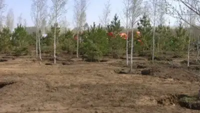 Zakon.kz, фото - Новости Zakon.kz от 18.04.2015 02:17