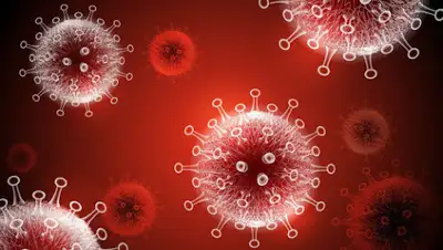 Caintra, фото - Новости Zakon.kz от 20.05.2020 23:32