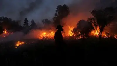 Zakon.kz, фото - Новости Zakon.kz от 08.08.2017 00:02