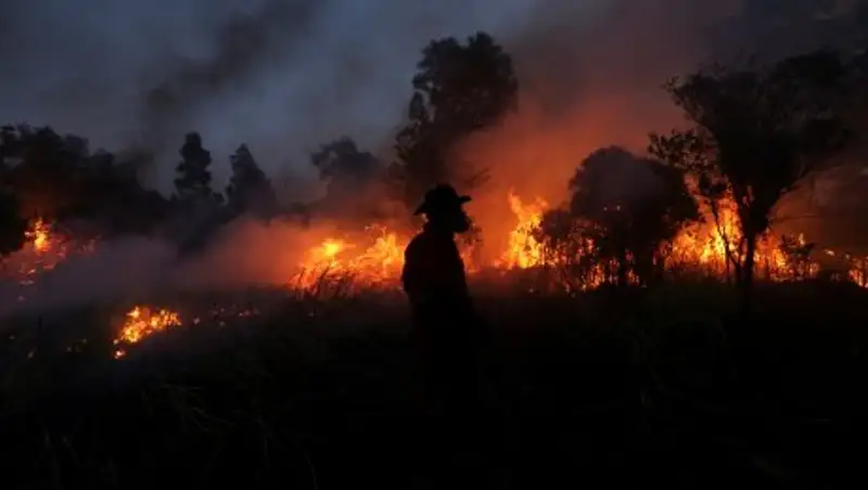 В Италии пожарные поджигали лес ради бонусов к зарплате