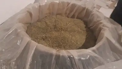 МВД РК, фото - Новости Zakon.kz от 12.11.2019 11:43