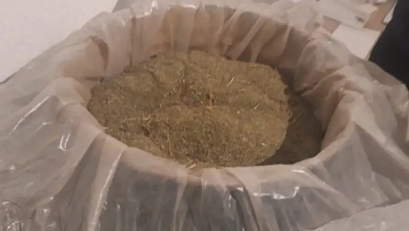 В Актау у мужчины изъяли 200-литровую бочку с марихуаной