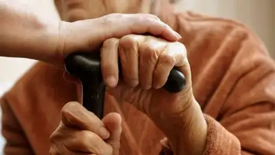 Zakon.kz, фото - Новости Zakon.kz от 08.09.2017 15:35