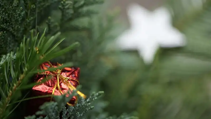 Шпаргалка на Новый год: что нельзя дарить разным знакам зодиака