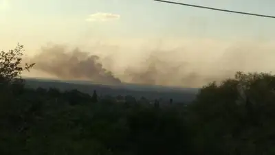 Facebook/ Бася Израиловна, фото - Новости Zakon.kz от 16.05.2019 08:46