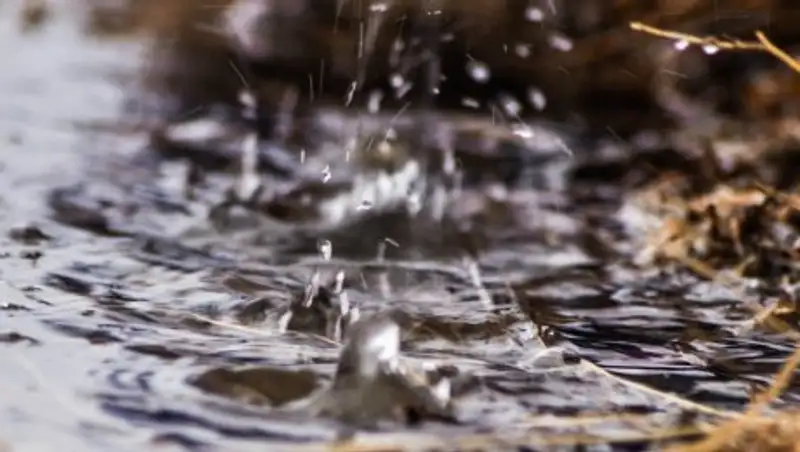 Ветер и осадки ожидаются в Казахстане 19 марта