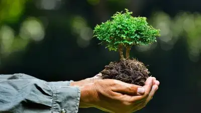 express-k.kz, фото - Новости Zakon.kz от 21.12.2020 12:50