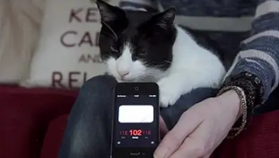 Zakon.kz, фото - Новости Zakon.kz от 13.05.2015 22:14