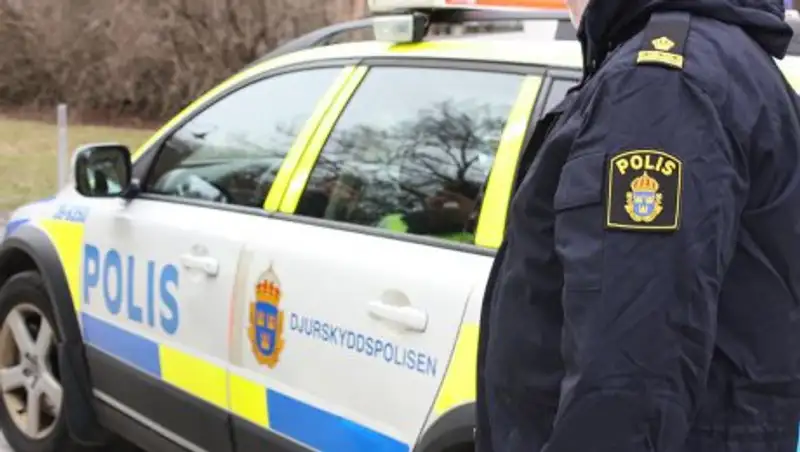 В Швеции девушку чуть не изнасиловали трое мужчин в прямом эфире
