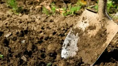 Zakon.kz, фото - Новости Zakon.kz от 21.10.2016 20:03