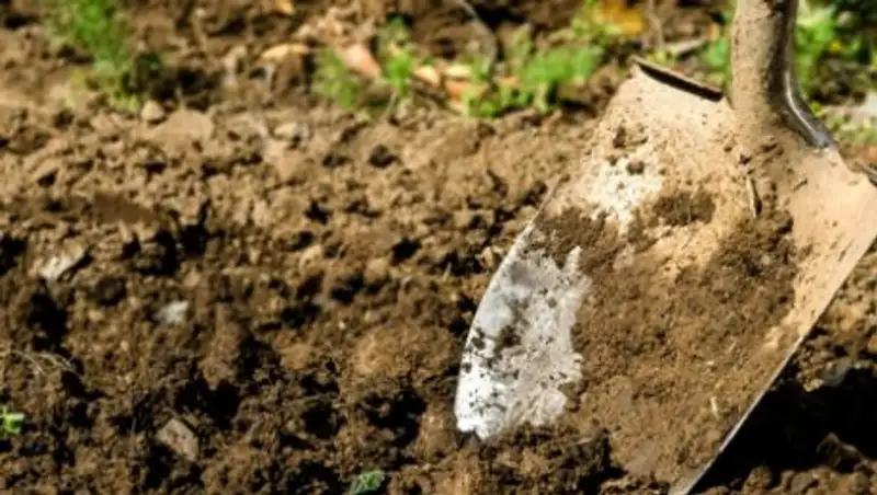 Нарушителей ПДД под Екатеринбургом заставили рыть могилы