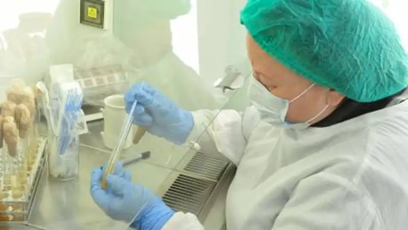 Что известно о "нигерийском" штамме COVID-19, выявленном в Казахстане