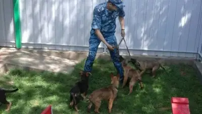 Zakon.kz, фото - Новости Zakon.kz от 19.05.2016 23:26