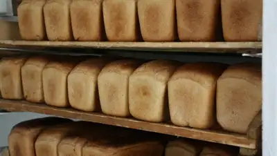 Zakon.kz, фото - Новости Zakon.kz от 10.11.2015 01:12