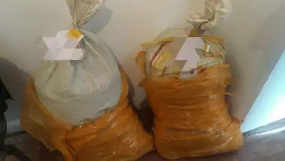 dknews.kz, фото - Новости Zakon.kz от 23.06.2020 13:07