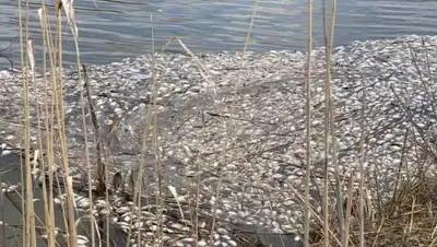 azh.kz, фото - Новости Zakon.kz от 14.06.2021 22:52