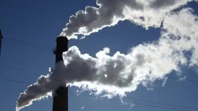 inform.kz, фото - Новости Zakon.kz от 28.01.2021 10:21