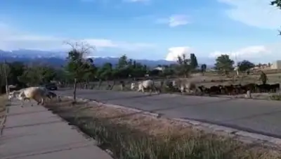 Zakon.kz, фото - Новости Zakon.kz от 05.07.2019 17:54