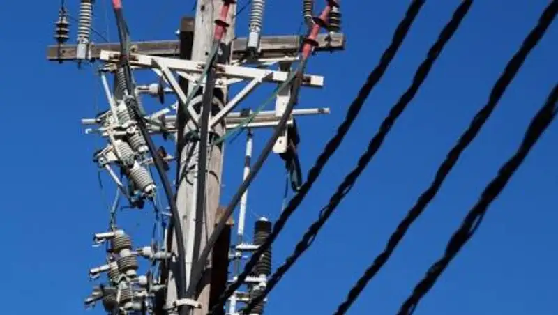 Парня убило током во время сбора яблок в Туркестанской области