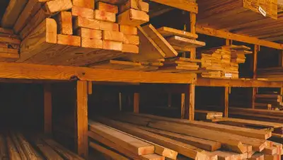 древесина, фото - Новости Zakon.kz от 25.11.2022 11:03